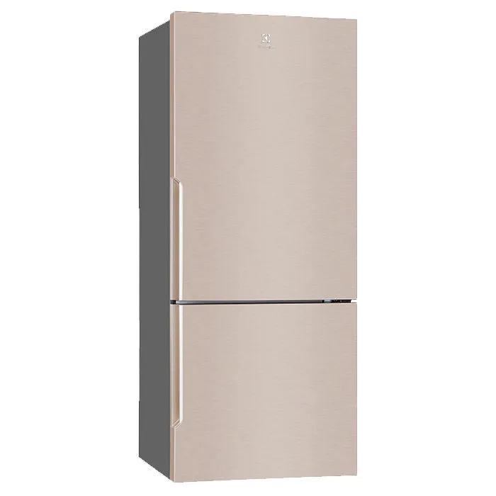 EBE4500BG 421L INVERTER 2-DOOR FRIDGE