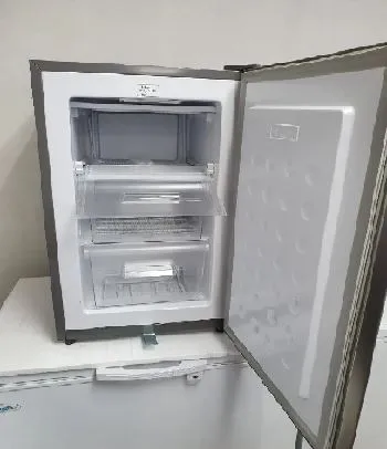 Farfalla BUF-S75 75/73L Upright Freezer