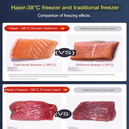 Haier 429-GH-PT Commercial Freezers 429 Litres -38C