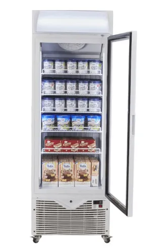 KADEKA KSF-450W Upright Freezer Showcase One Door
