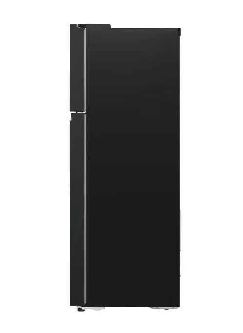 LG GT-F3953EP 383L Top Freezer in Matte Black