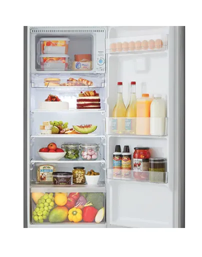 Lg LRONC0605V 6 Cu. Ft. Single Door Refrigerator
