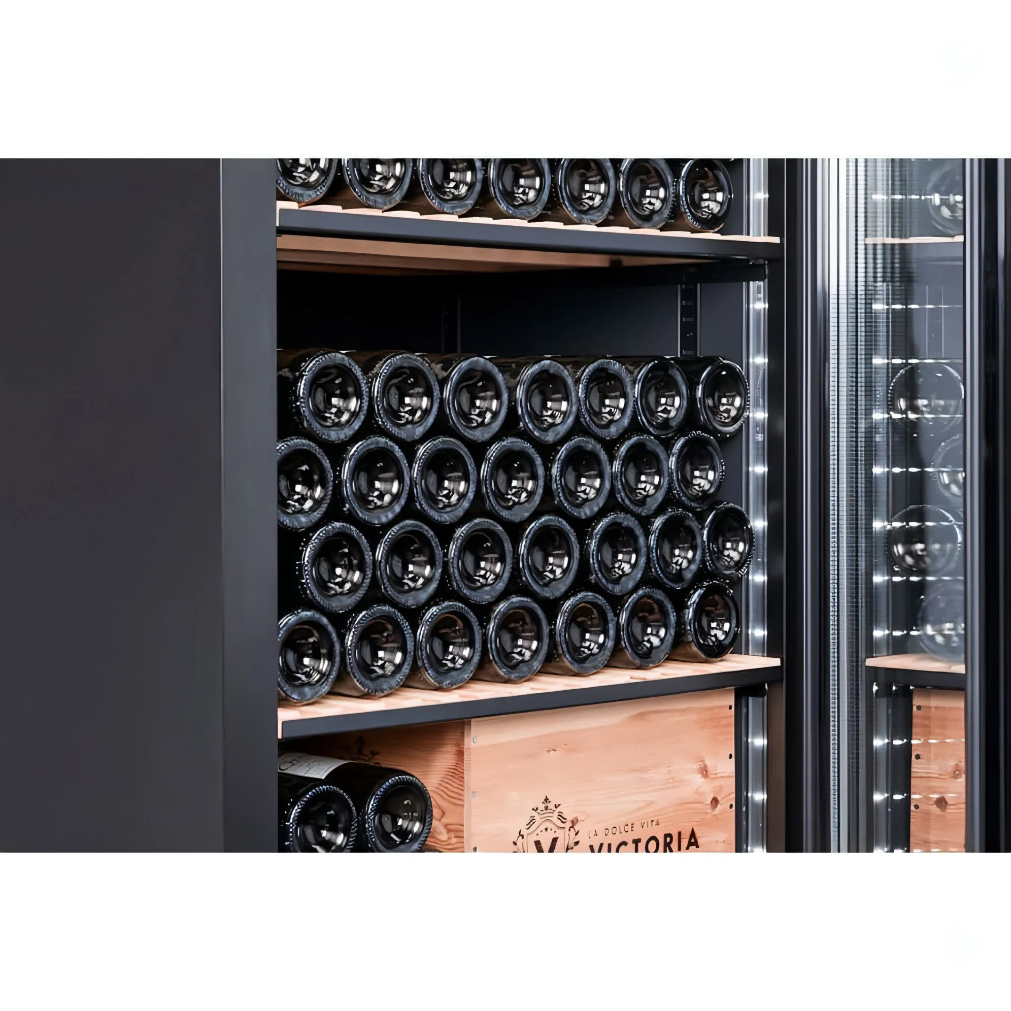 mQuve Velvet 220 Glass - Single Zone 273 Bottles - Tall Wine Cabinet