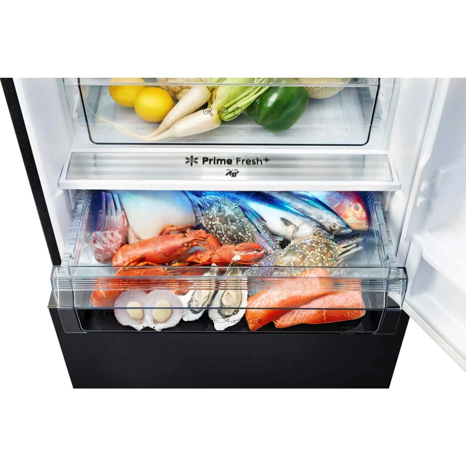 Panasonic NR-BX471WGKS 405L 2 Door Fridge  (Bottom Freezer)