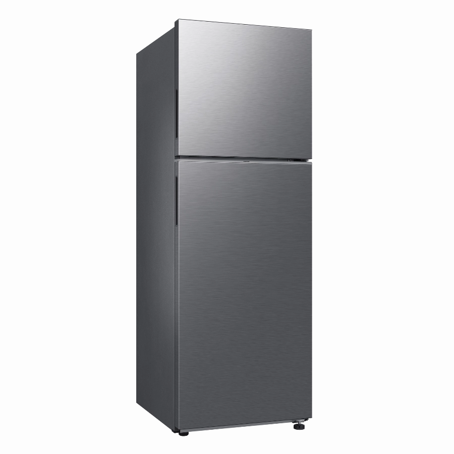 RT35CG5444S9SS 345L 2-DOOR FRIDGE