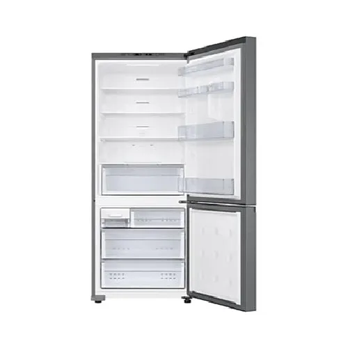 Samsung RB43DG6005S9SS 427L 2-Door Fridge