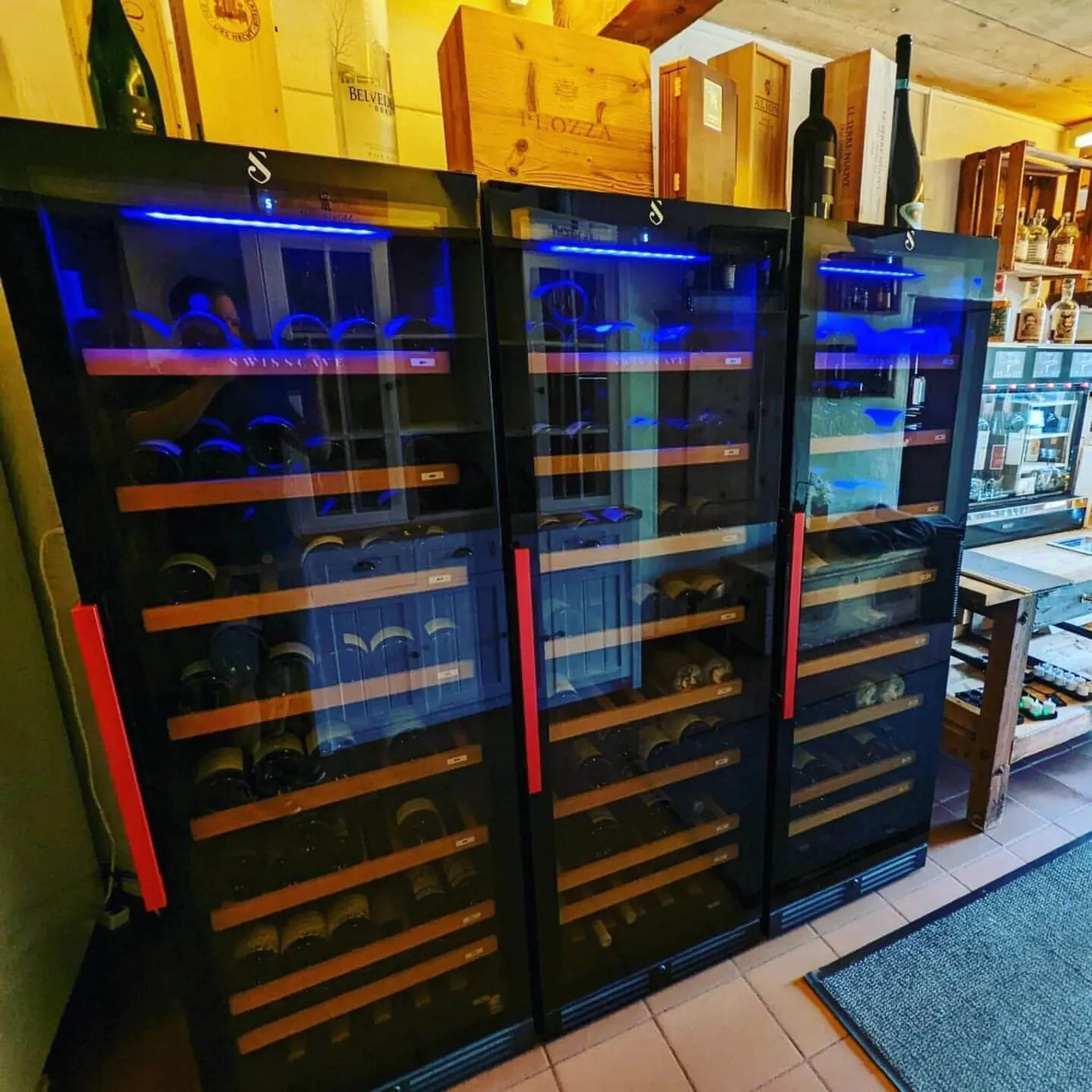 SWISSCAVE - Classic Edition 169 Bottle Single Zone Wine Cooler WLB-455F