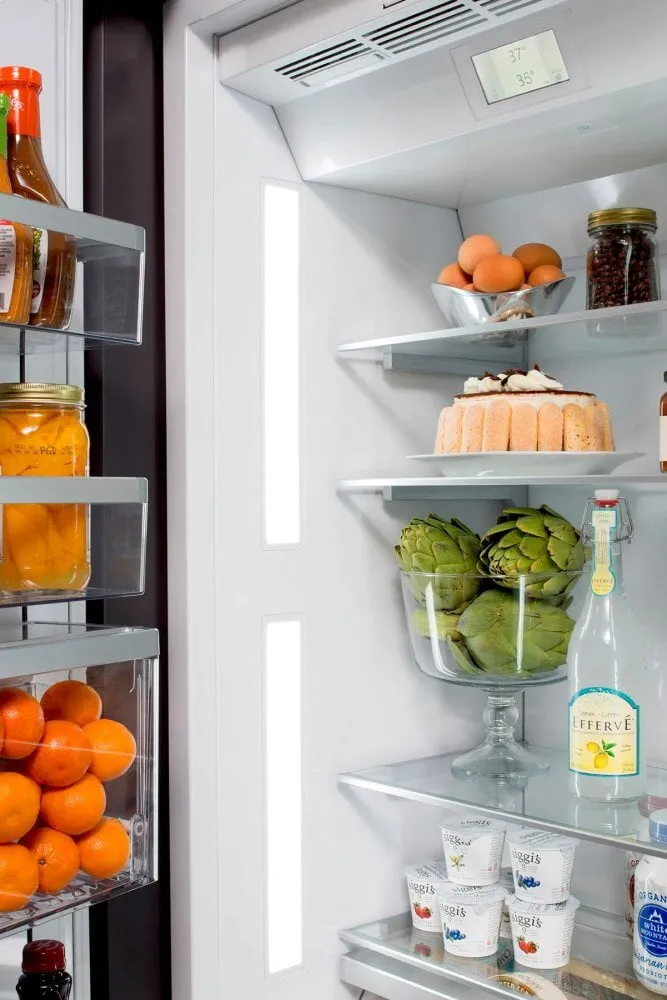 Thermador T24IR900SP 24-Inch Built-In Panel Ready Fresh Food Column