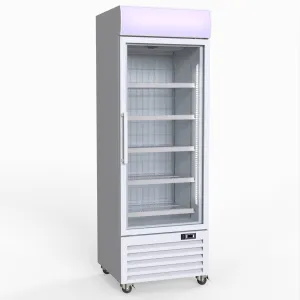 Thermaster 400L Upright Single Glass Door Freezer  LG-400PF