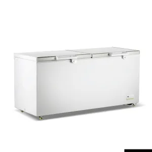 Thermaster 600L Chest Freezer With Stainless Steel Lid BD600F