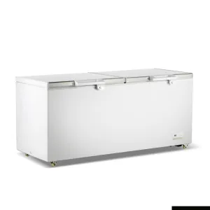 Thermaster 750L Chest Freezer With Stainless Steel Lid BD750F