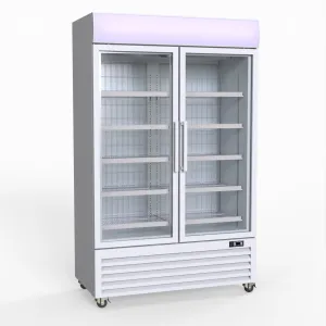 Thermaster 800L Upright Double Glass Door Freezer  LG-800PF