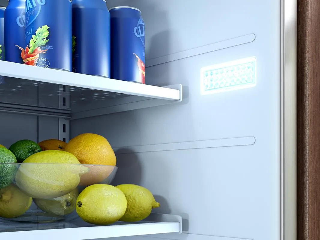 Zephyr PRR24C01ASOD 24" Outdoor Refrigerator